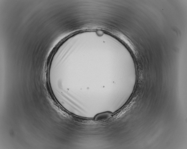 X0000111781124200908201104