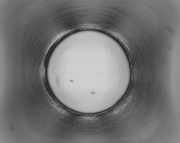 X0000111781125200908201104