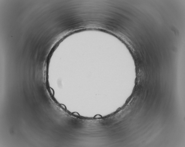 X0000111781126200908201104