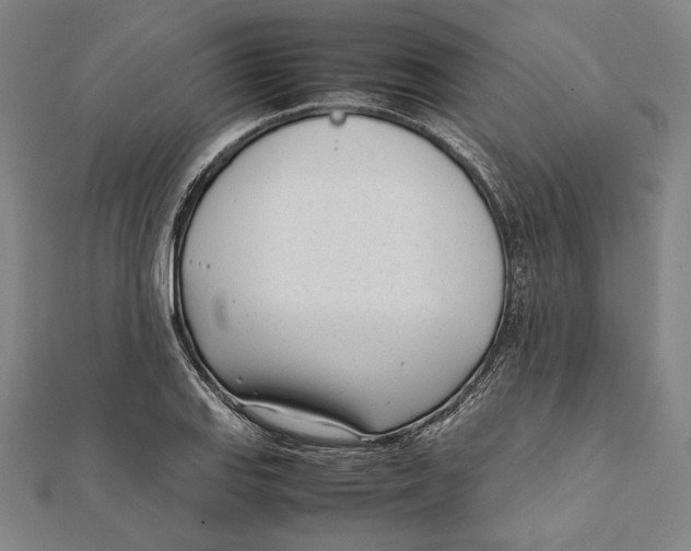 X0000111781127200908201104