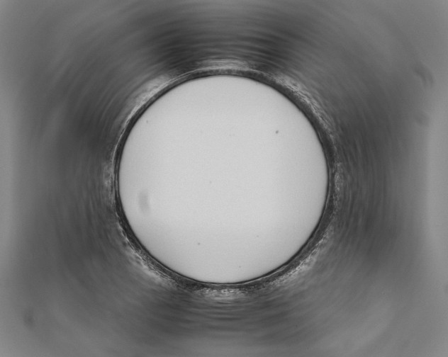 X0000111781129200908201104
