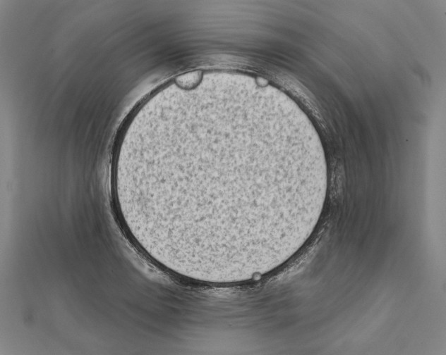 X0000111781130200908201104