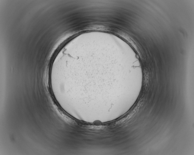 X0000111781131200908201104