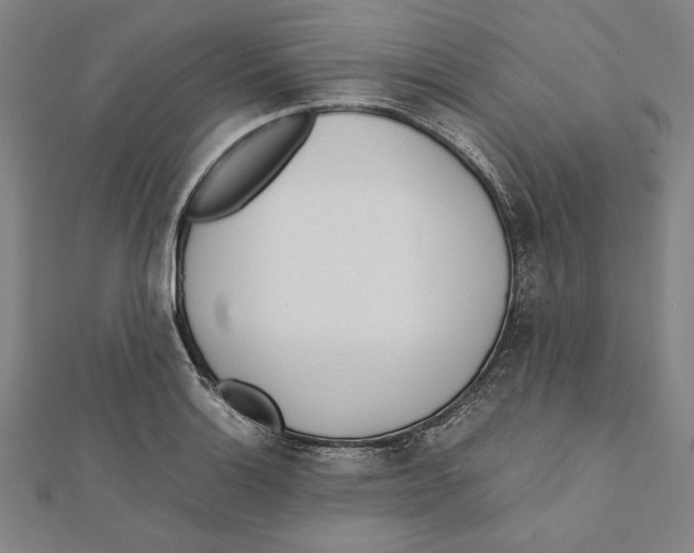 X0000111781132200908201104