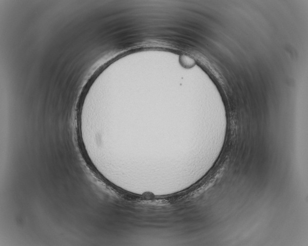 X0000111781133200908201104