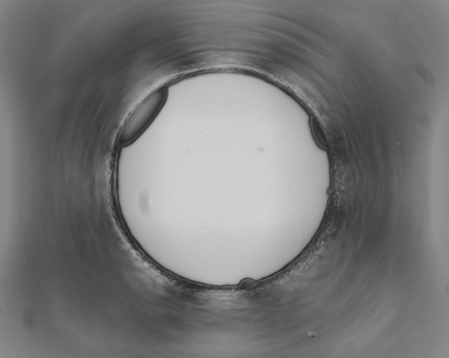X0000111781134200908201104