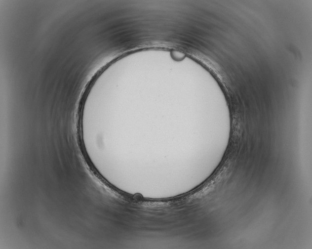 X0000111781135200908201104