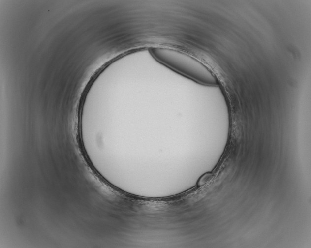 X0000111781136200908201104