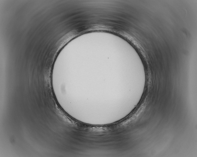 X0000111781137200908201104