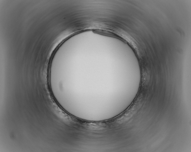 X0000111781138200908201104