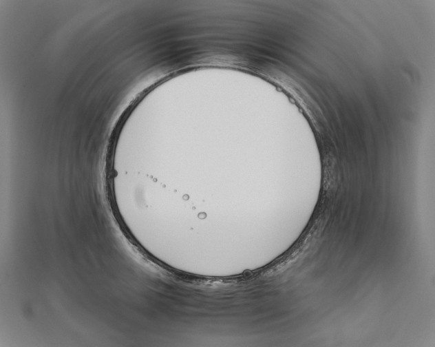 X0000111781139200908201104