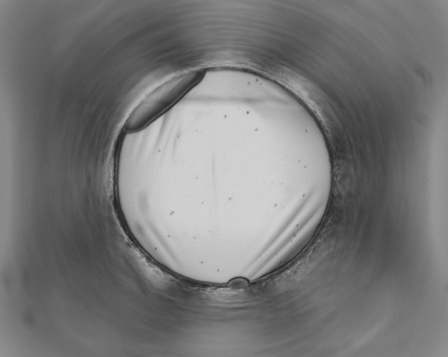 X0000111781140200908201104