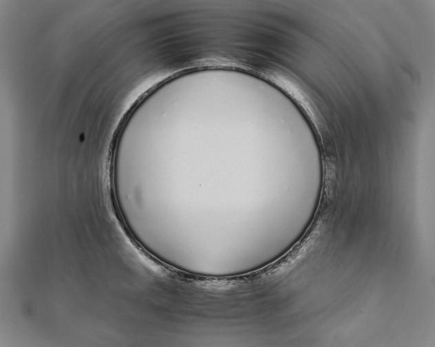 X0000111781141200908201104