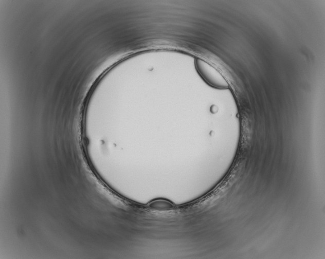 X0000111781142200908201104