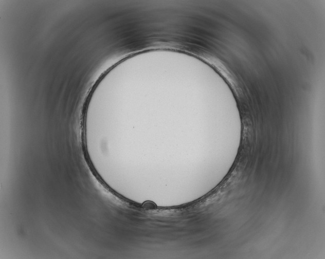 X0000111781143200908201104