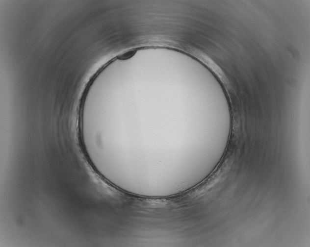 X0000111781144200908201104