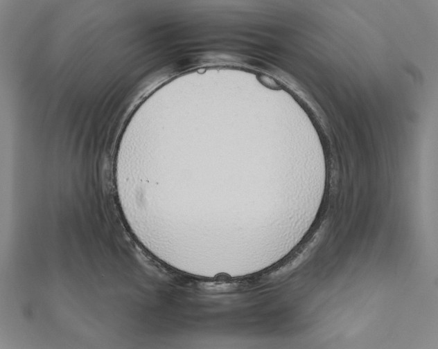 X0000111781145200908201104