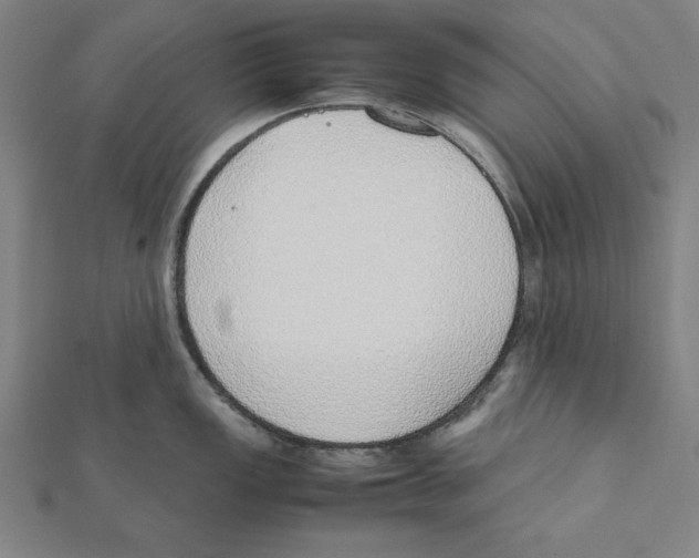 X0000111781149200908201104