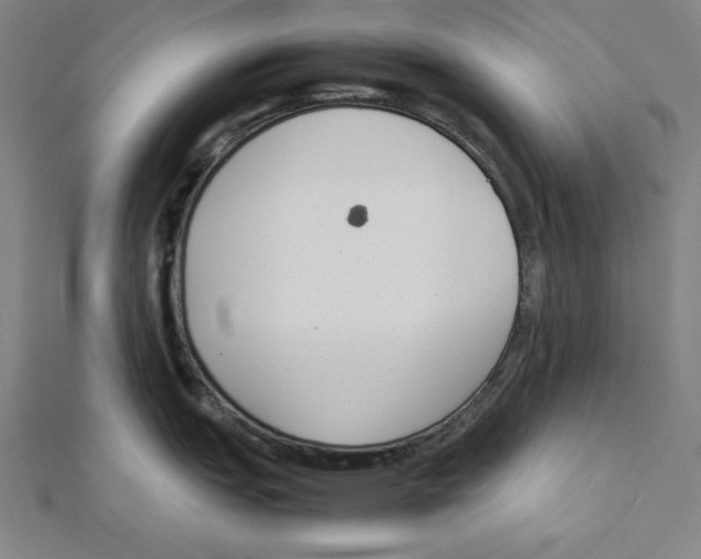 X0000111781151200908201104