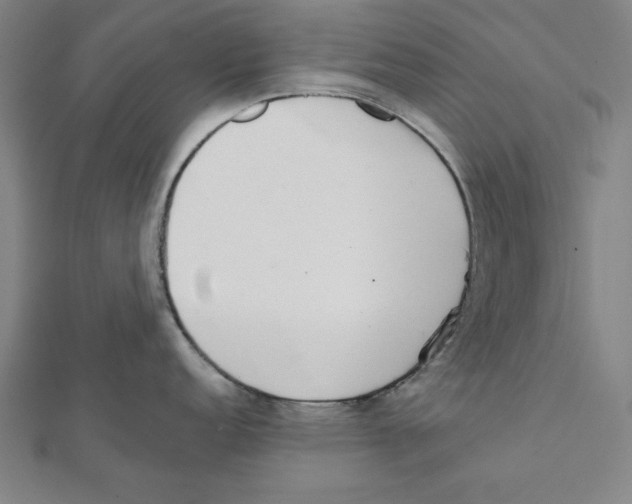 X0000111781152200908201104