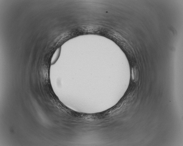X0000111781155200908201104
