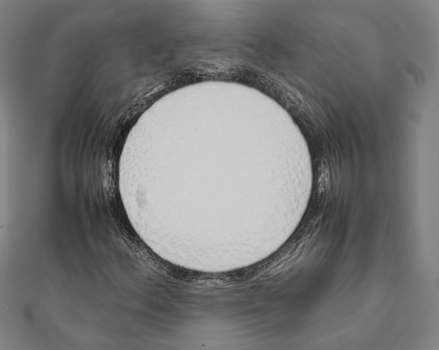 X0000111781156200908201104