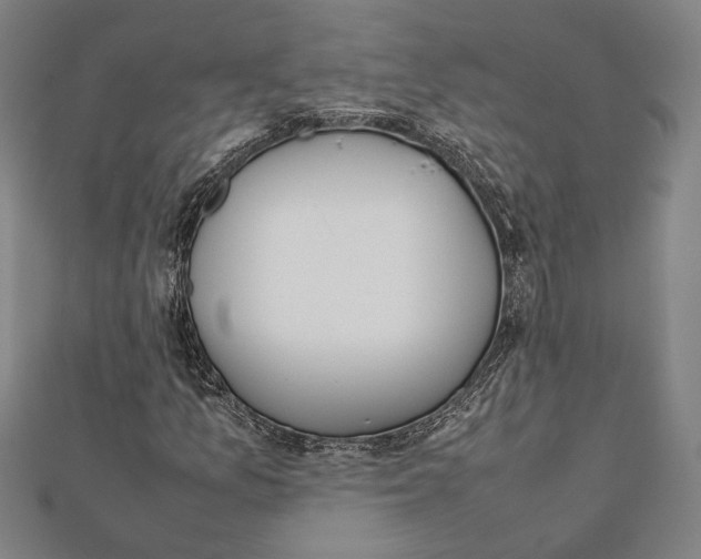 X0000111781157200908201104