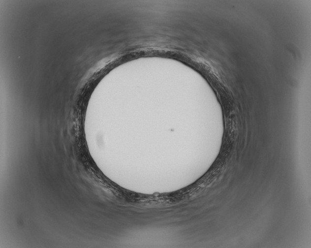 X0000111781159200908201104