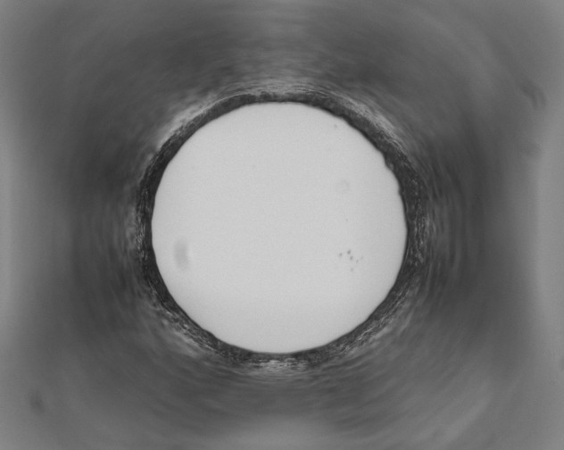 X0000111781160200908201104