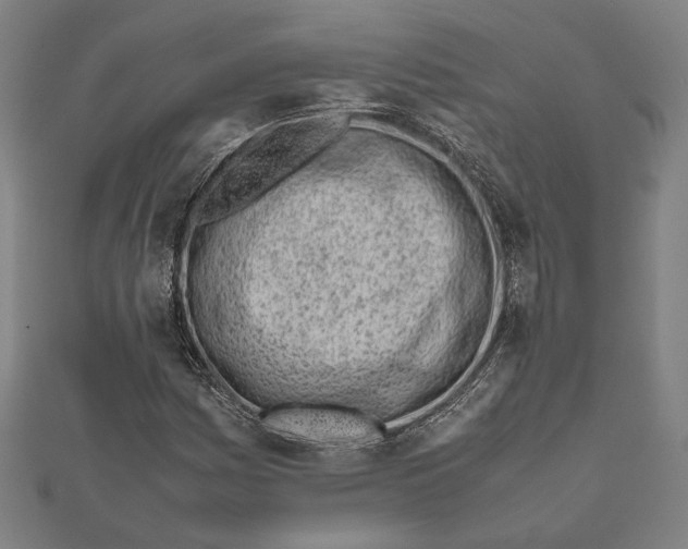 X0000111781161200908201103
