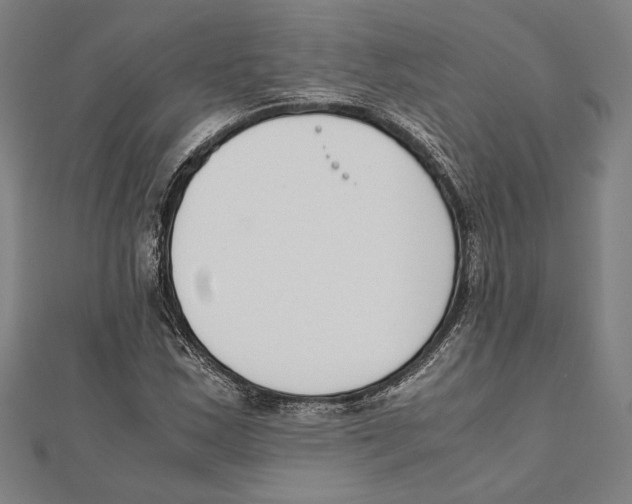 X0000111781163200908201103