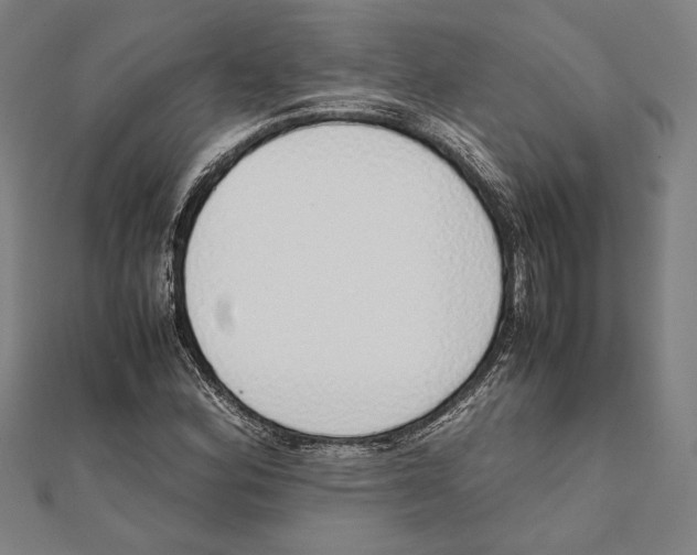 X0000111781164200908201103