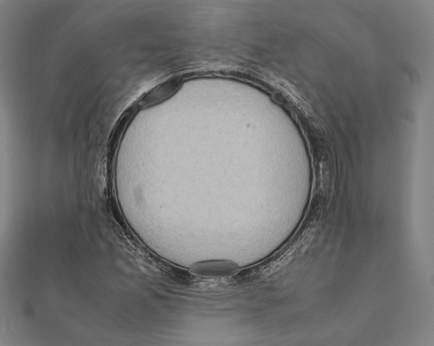 X0000111781165200908201103