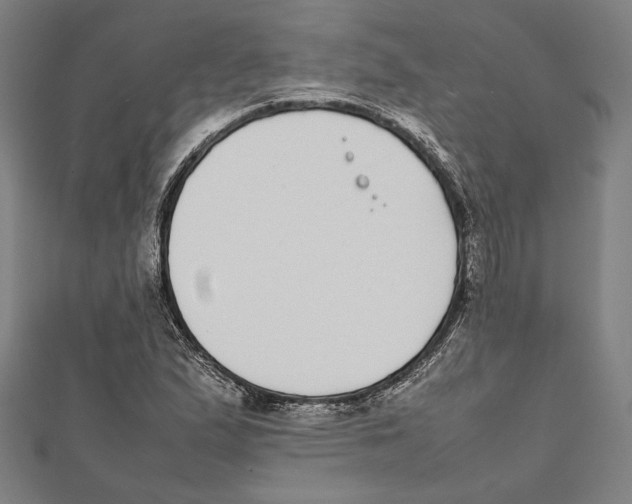 X0000111781167200908201103