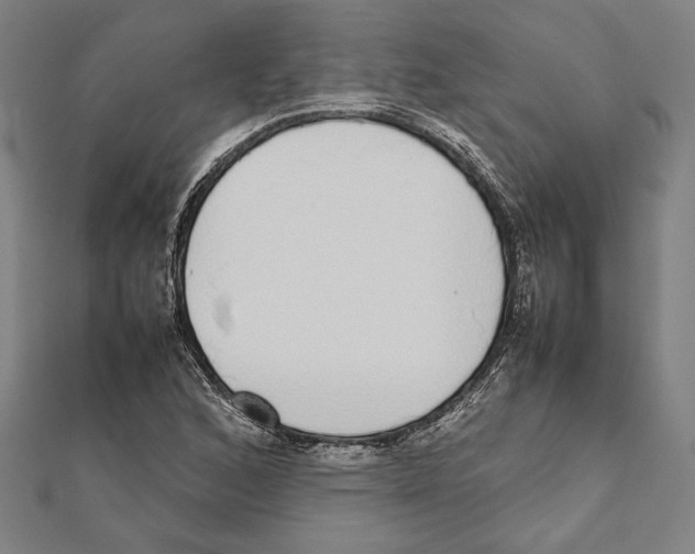 X0000111781168200908201103