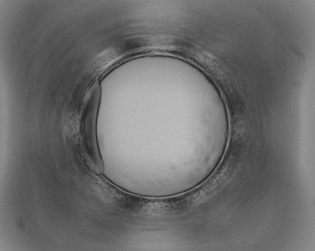 X0000111781169200908201103
