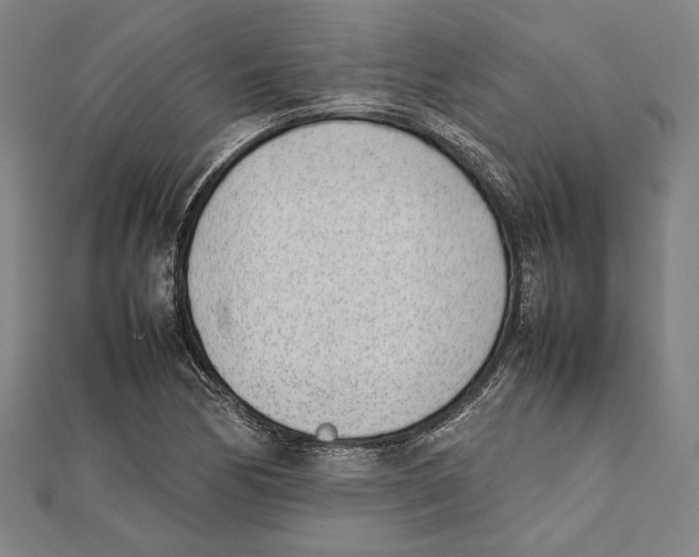 X0000111781170200908201103