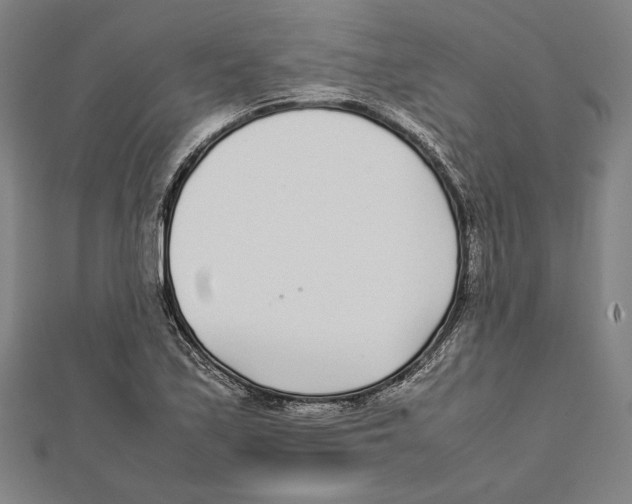 X0000111781171200908201103