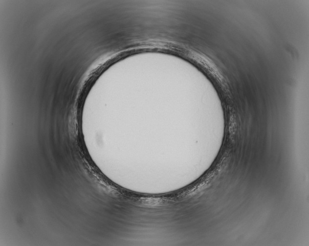 X0000111781172200908201103
