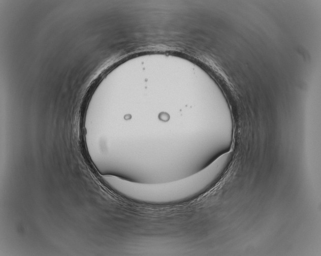 X0000111781173200908201103