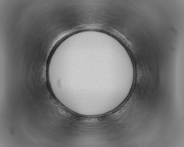 X0000111781174200908201103