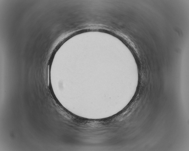 X0000111781175200908201103