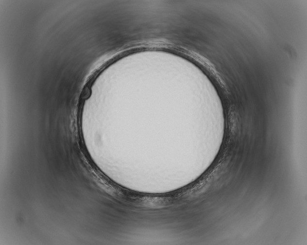 X0000111781176200908201103