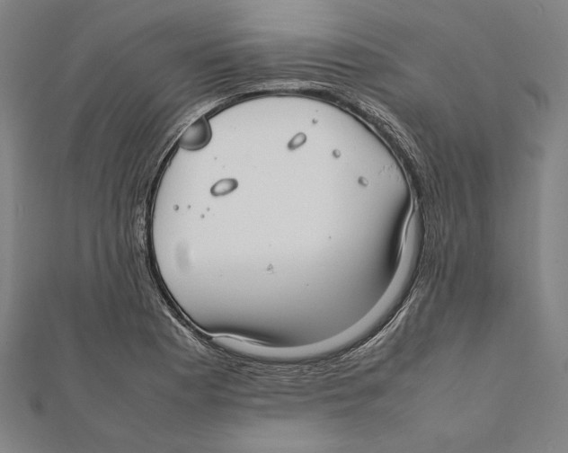 X0000111781177200908201103
