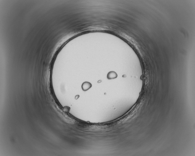 X0000111781179200908201103