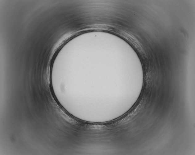 X0000111781180200908201103