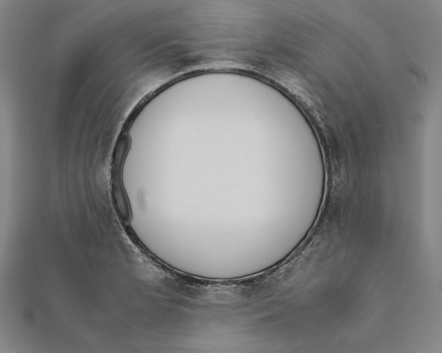 X0000111781181200908201103