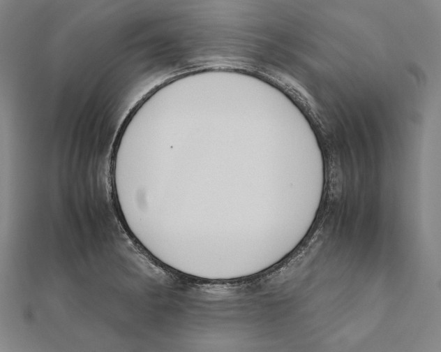 X0000111781182200908201103