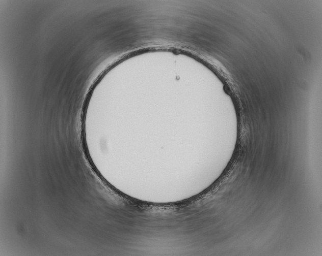 X0000111781183200908201103