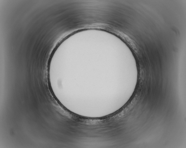 X0000111781184200908201103